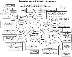 Description de l'image par IA : Conceptogramme médical sur l'oncologie et l'hématologie, incluant les causes, diagnostics, traitements et complications du cancer.