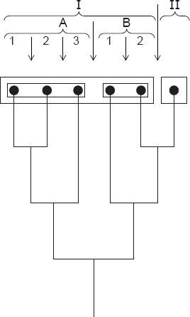 Description de l'image par IA : Diagram de classification des insectes avec sections et sous-sections.