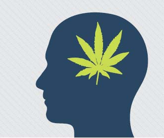 Description de l'image par IA : Tête avec une feuille de cannabis verte à l'intérieur.