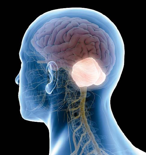 Description de l'image par IA : Cerveau humain avec une zone lumineuse.
