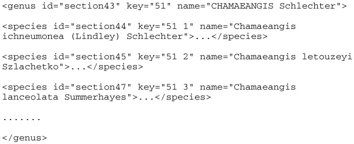 Code XML représentant les relations entre genres et espèces dans un volume de la Flore du Cameroun.