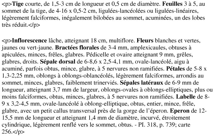 Tige courte, feuilles lancéolées, fleurs blanches et vertes, bractées florales, pédicelle, sépales et pétales décrits en détail.