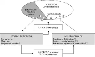 Description de l'image par IA : Diagram montrant les méthodes d'estimation statistique de la fiabilité.
