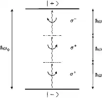 Description de l'image par IA : Niveaux d'énergie avec transitions photoniques entre |–⟩ et |+⟩.