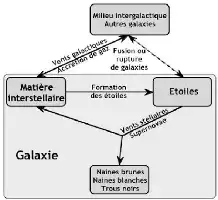 Description de l'image par IA : Schéma de l’évolution d’une galaxie montrant les étapes entre matière interstellaire, étoiles, et différents types de naines.