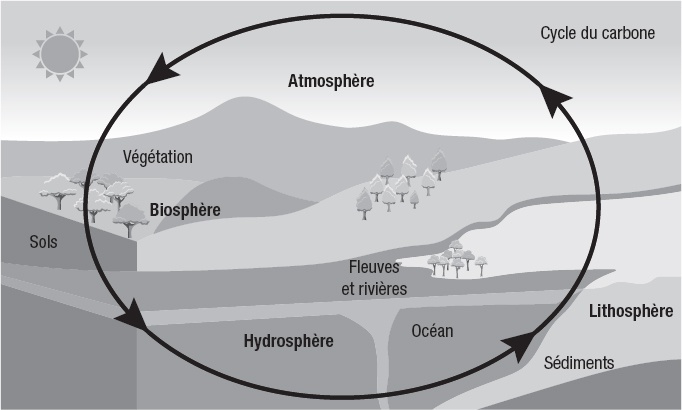 Description de l'image par IA : Cycle du carbone avec atmosphère, biosphère, hydrosphère et lithosphère.
