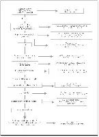 Description de l'image par IA : Diagramme de flux pour évaluer les besoins et relations d'aide des personnes, avec des questions et des réponses pour guider le processus.