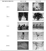 Description de l'image par IA : Jeanne : Fleur avec tiges
Viviane : Allée d'arbres
Melanie : Personnes en bateau
Nicole : Personne avec béquilles
Johanne : Mains jointes