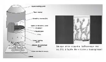 Description de l'image par IA : Figure avec une caméra infrarouge montrant un torse transpirant.