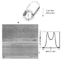 Description de l'image par IA : Figure 3 : Schéma et images de nanotubes multifeuillets. a) Structure. b) Images TEM. c) Densité atomique.