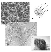 Description de l'image par IA : Microscope images et schéma de structures nanométriques.