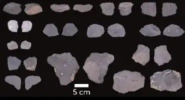 Description de l'image par IA : Des pierres taillées variées, de différentes formes et tailles, sur fond noir avec une échelle de 5 cm.