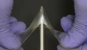 Description de l'image par IA : Deux mains gantées tiennent un objet en forme de V, translucide et élastique.