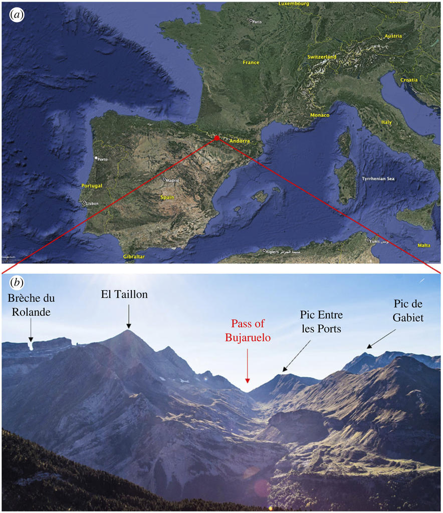 Description de l'image par IA : Carte géographique avec des montagnes et des repères, vue aérienne de la région des Pyrénées.