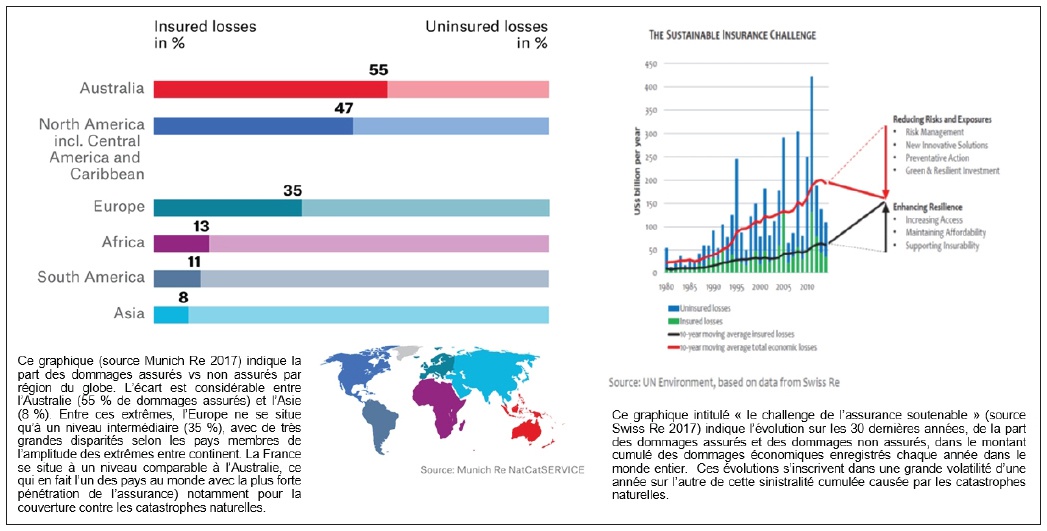 Description de l'image par IA : Graphiques sur les pertes assurées et non assurées par continent.