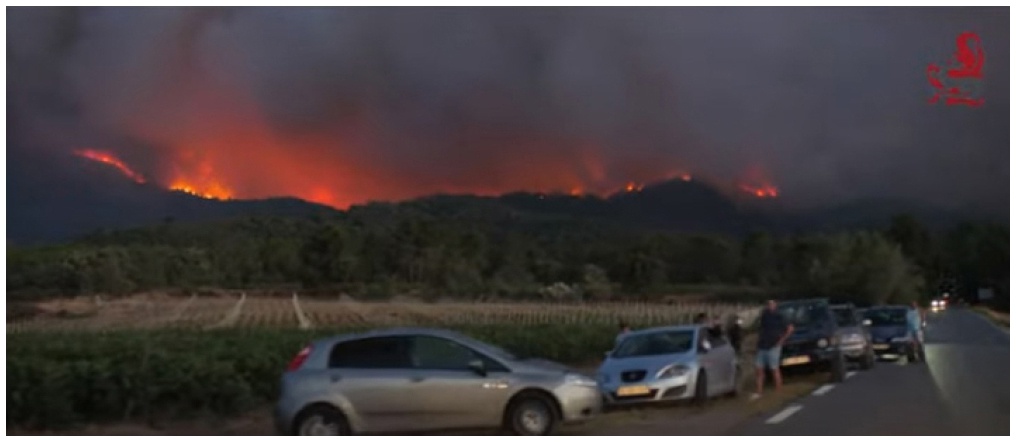 Description de l'image par IA : Feu de forêt intense la nuit, plusieurs voitures garées au premier plan, personnes observent.