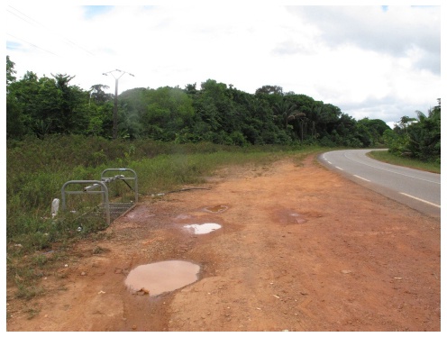 Description de l'image par IA : Chemin de terre à côté d'une route avec une rampe d’eau potable et des arbres verts.