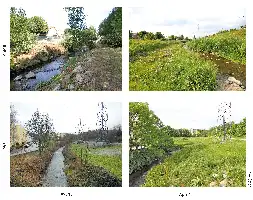 Description de l'image par IA : Quatre vues saisonnières d'une rivière avec des berges aménagées.