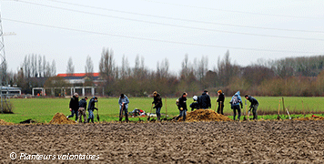 Description de l'image par IA : Un groupe de personnes plante des arbres dans un champ.