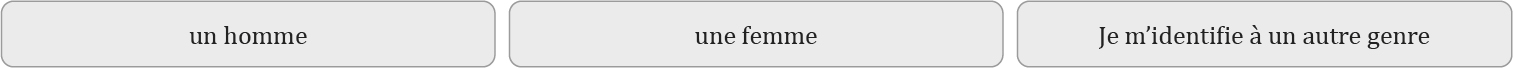 Description de l'image par IA : Lignes horizontales avec textes en français
